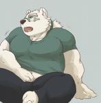 anthro belly bottomwear clothing eyewear glasses humanoid_hands kemono male overweight overweight_anthro overweight_male pants shirt simple_background sitting solo topwear cddi_h lifewonders tokyo_afterschool_summoners leib_(tas) bear mammal polar_bear ursine 2020