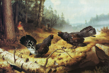 beak biped bipedal_feral birch black_body black_feathers branch brown_body brown_feathers claws day detailed_background duo_focus evergreen_tree fallen_tree feathered_wings feathers feet female female_feral feral fight forest fungus group lichen looking_at_another loose_feather male male_feral male_focus markings moss mouth_closed outside pine_tree plant polypore red_markings rock shrub sky spruce standing tree trio white_body white_feathers wings ferdinand_von_wright avian bird galliform phasianid western_capercaillie 1886 19th_century absurd_res ancient_art formal_art hi_res huge_filesize oil_painting_(artwork) painting_(artwork) traditional_media_(artwork) traditional_painting_(artwork)