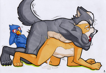 abdominal_bulge anal anal_penetration anthro anthro_on_anthro anthro_penetrated anthro_penetrating anthro_penetrating_anthro beak blue_body bodily_fluids chokehold cuckold cum cum_in_ass cum_inside cum_pooling duo ejaculation finger_in_mouth from_behind_position fur genital_fluids grey_body grey_fur hug looking_pleasured male male/male male_on_bottom male_on_top male_penetrated male_penetrating male_penetrating_male mounting muscular on_bottom on_top one_sided_climax penetration penile penile_penetration penis_in_ass sex simple_background white_background rotten_owl nintendo star_fox falco_lombardi fox_mccloud wolf_o'donnell avian bird canid canine canis fox mammal wolf hi_res traditional_media_(artwork)