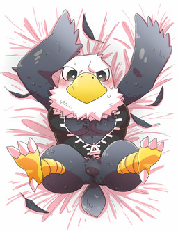 4_toes anisodactyl anthro avian_feet beak bedding bedding_background biped black_eyes blush bodily_fluids chibi claws clothed clothing dakimakura digitigrade feathered_wings feathers featureless_crotch feet fluffy flustered furniture high-angle_view loose_feather lying male muscular muscular_anthro muscular_male on_back open_clothing open_topwear open_vest pecs scutes solo spread_legs spreading sweat tail tail_feathers talons toe_claws toes topwear vest white_claws wings yellow_beak koginoro_28 animal_crossing nintendo apollo_(animal_crossing) accipitrid accipitriform avian bald_eagle bird eagle sea_eagle 2017 dakimakura_design digital_media_(artwork) hi_res shaded