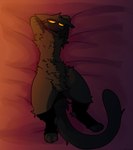 anthro bed clothing featureless_crotch fluffy furniture legwear male nude solo stockings suggestive_pose tail gatotacato leo_(gatotacato) domestic_cat felid feline felis mammal hi_res