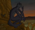 anthro arizona cloud crouches dusk feet fur hair male mountain river rock saguaro solo tail thinking thoughtful_expression dragon171 avian bird canid canine canis mammal reptile scalie snake wolf absurd_res hi_res