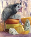 ambiguous_gender cheese cheese_wedge cheese_wheel dairy_products feral food fur grey_body grey_fur on_food open_mouth photorealism realistic realistic_anatomy realistic_fur solo standing_on_object teeth tongue whiskers white_body white_fur kahla american_opossum mammal marsupial 2022 hi_res oil_painting_(artwork) painting_(artwork) signature traditional_media_(artwork)