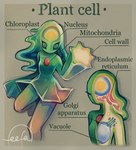 biped cell_nucleus endoplasmic_reticulum female golgi_apparatus green_body mitochondria not_furry organelle pseudo_hair solo text feefal cell_(organism) cell_humanoid humanoid english_text hi_res