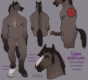 animal_genitalia animal_penis anthro balls ear_piercing equine_genitalia equine_penis fully_sheathed fur genitals hair hooves male nipples penis piercing sheath simple_background smile solo standing text anapnea liam_(anapnea) equid equine horse mammal digital_media_(artwork) english_text hi_res model_sheet