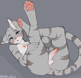 anthro balls blue_eyes blush breasts fur genitals gynomorph intersex looking_at_viewer multicolored_body multicolored_fur paws penis solo yoga lentilghost whiskers_(lishka) felid feline humanoid mammal absurd_res hi_res