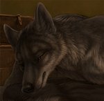 anthro black_nose brown_eyes detailed_background detailed_fur fur grey_body grey_fur male solo rukis red_lantern_universe luther_denholme canid canine canis mammal wolf 2020 detailed digital_media_(artwork)