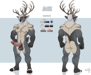 abs anthro antlers balls blue_eyes brown_antlers butt color_swatch erection front_view genitals glans grey_balls grey_body hair horn humanoid_genitalia humanoid_penis looking_at_viewer male male_anthro mouth_closed muscular muscular_anthro muscular_male nude pecs penis rear_view red_penis short_hair solo standing text white_body white_hair apple-faced ace_(mofurrx) deer mammal 2021 artist_name dated english_text hi_res model_sheet