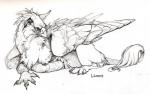 ambiguous_gender beak claws feathered_wings feathers feet feral looking_back lying pawpads simple_background solo spread_toes tail tail_tuft toes tuft white_background wings novawuff mythology avian gryphon mythological_avian mythological_creature 2006 black_and_white monochrome portrait sketch