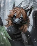 anthro black_body black_claws black_eyes black_fur black_nose black_sclera black_wings brown_hair claws feathered_wings feathers fur green_wings grey_horn hair horn inner_ear_fluff male male_anthro multi_eye nude outside snow snowing solo text tuft white_body white_fur white_inner_ear_fluff wings marie_merkh species_request 4:5 absurd_res artist_name bust_portrait hi_res portrait signature