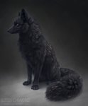 ambiguous_gender black_body black_ears black_fur black_nose black_tail claws feral fur solo tail text chiakiro finnish_mythology mythology canid canine fox mammal mythological_canine mythological_creature mythological_firefox mythological_fox 2020 full-length_portrait portrait url