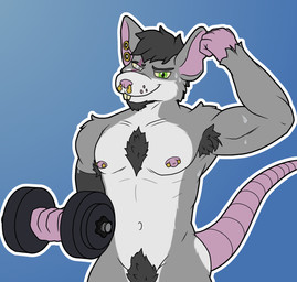 anthro areola arm_tuft armpit_fetish armpit_hair barbell_piercing biceps blind_eye bodily_fluids body_hair buckteeth chest_hair circular_barbell_piercing dumbbell ear_piercing exercise eye_scar facial_hair facial_piercing facial_scar facial_tuft fingers flexing front_view gauged_ear goatee green_eyes grey_body hair male mouth_closed nipple_dip nipple_piercing nipples nose_piercing notched_ear nude piercing pubes scar septum_circular_barbell septum_piercing shoulder_tuft solo sweat tail teeth telegram_sticker tuft weights whisker_spots workout benjibat conditional_dnp bishop_(benjibat) mammal murid murine rat rodent hi_res