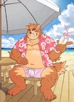 anthro beach blush brown_body brown_fur clothed clothing detailed_background fur humanoid_hands kemono male one_eye_closed open_clothing open_shirt open_topwear outside overweight overweight_anthro overweight_male seaside shirt sitting solo swimwear topwear water wink ryuta-h canid canine mammal hi_res