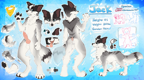 animal_genitalia animal_penis anthro balls black_claws black_nose black_pawpads canine_genitalia canine_penis claws feral fur genitals green_eyes grey_body grey_fur knot male pawpads penis sheath solo tail tongue tongue_out white_balls white_body white_fur magenta7 border_collie canid canine canis collie domestic_dog herding_dog hybrid mammal northwestern_wolf pastoral_dog sheepdog wolf 2025 hi_res model_sheet