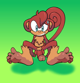 anthro balls barefoot blue_eyes bodily_fluids feet foot_fetish foot_focus fur genitals hair humanoid_feet humanoid_genitalia humanoid_penis looking_at_viewer male nervous nervous_smile nervous_sweat nude on_ground penis plantigrade presenting presenting_penis pubes red_body red_hair smile soles solo spread_legs spreading sweat tail tan_body tan_fur tan_skin teeth toes rakkan idw_publishing sega sonic_the_hedgehog_(comics) sonic_the_hedgehog_(idw) sonic_the_hedgehog_(series) unnamed_character haplorhine mammal monkey primate
