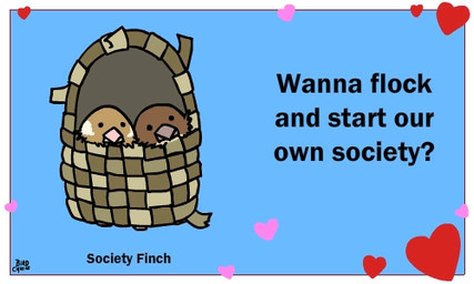 <3 ambiguous_gender animated avian bird birdcheese black_eyes english_text feral holidays humor pun text valentine's_day
Rating: Safe
Score: 1
User: DeltaFlame
Date: February 26, 2015 <3 ambiguous_gender animated avian bird birdcheese black_eyes english_text feral holidays humor pun text valentine's_day
Rating: Safe
Score: 1
User: DeltaFlame
Date: February 26, 2015
