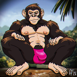 abs anthro brown_body brown_fur bulge closed_smile clothed clothing crouching detailed_bulge feet fingernails front_view fur hand_on_leg hand_on_thigh hands_on_legs hands_on_own_legs hands_on_own_thighs hands_on_thighs looking_at_viewer male mouth_closed muscular muscular_anthro muscular_male nails navel nipples pecs pink_clothing pink_thong pink_underwear smile solo thong thong_only toenails toes topless topless_anthro topless_male underwear underwear_only fabfelipe ape chimpanzee haplorhine mammal pan_(genus) primate 1:1 2026 digital_drawing_(artwork) digital_media_(artwork) hi_res