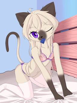 ahoge all_fours anthro bed bed_sheet bedding bedroom black_body black_fur bra breasts clothing condom condom_in_mouth female fur furniture hair legwear loli long_hair mouth_hold multicolored_body multicolored_fur navel object_in_mouth one_eye_closed panties pink_bra pink_clothing pink_underwear purple_bra purple_clothing purple_eyes purple_panties purple_underwear seductive sexual_barrier_device slim small_breasts solo tail thigh_highs two_tone_body two_tone_fur underwear white_body white_clothing white_fur white_hair white_legwear white_thigh_highs wink young young_anthro young_female ghosthoof domestic_cat felid feline felis mammal siamese_cat 3:4 absurd_res hi_res
