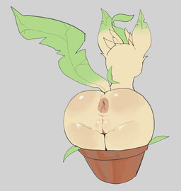 anus butt female feral genitals glistening glistening_butt green_body grey_background humanoid_genitalia humanoid_genitalia_on_feral humanoid_vulva humanoid_vulva_on_feral leaf leaf_ears leaf_hair leaf_tail plant plant_hair plant_pot pseudo_hair rear_view simple_background solo tail tan_body thick_thighs vulva wide_hips skeleton265 nintendo pokemon eeveelution generation_4_pokemon leafeon mammal pokemon_(species) 2025 digital_drawing_(artwork) digital_media_(artwork) hi_res