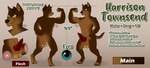 animal_genitalia animal_penis anus balls canine_genitalia canine_penis flexing genitals knot male muscular penis reading_glasses saggy_balls solo text tipzykitzy harrison_townsend canid canine canis domestic_dog mammal absurd_res english_text hi_res model_sheet