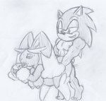 anthro bedroom_eyes bodily_fluids breasts burger female female_penetrated food half-closed_eyes male male/female male_penetrating muscular muscular_anthro muscular_male narrowed_eyes nipples penetration seductive sex smile sweat sweatdrop takeshi1000 game_freak nintendo pokemon sega sonic_the_hedgehog_(series) sonic_the_hedgehog eulipotyphlan generation_4_pokemon hedgehog lopunny mammal pokemon_(species) 2022 crossover hi_res