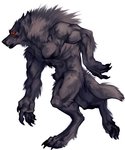 animal_genitalia anthro biceps digitigrade genitals male muscular muscular_anthro muscular_male nude pecs sheath simple_background solo white_background nmvsolidus mythology canid canine canis mammal mythological_canine mythological_creature werecanid werecanine werecreature werewolf wolf hi_res