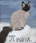 blue_eyes cat_nose cloud feral fluffy fur looking_at_viewer male r.i.p. rest_in_peace simple_background sitting solo tail tan_body tan_fur text the_dark_skull domestic_cat felid feline felis mammal absurd_res colored digital_media_(artwork) hi_res russian_text