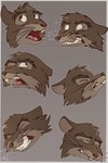 black_nose buckteeth cheek_tuft clenched_teeth face_focus facial_tuft grey_body looking_away looking_pleasured male one_eye_closed open_mouth simple_background solo teeth tongue tuft whiskers fuf redwall vitch_(redwall) mammal murid murine rat rodent 2020 2:3 hi_res multiple_images