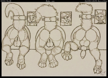 anthro anus backsack balls butt claws digitigrade erection fluffy fluffy_tail free_use genitals group herm intersex knot knotted_penis male maleherm pawpads paws penis public_use simple_background tail text through_wall toe_claws trio vulva fellowwolf kinktober kinktober_2025 canid canine hybrid mammal mustelid otter 11:8 2025 absurd_res digital_drawing_(artwork) digital_media_(artwork) english_text hi_res monochrome sketch