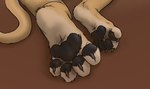 4_toes anthro claws curling_toes feet fluffy_paws foot_focus male pawpads paws simple_background solo tail toe_claws toes zenthetiger midnightlion felid lion mammal pantherine