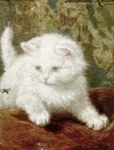 ambiguous_gender duo feral fur monotone_body monotone_fur nude photorealism pupils quadruped realistic slit_pupils white_body white_fur henriette_ronner-knip public_domain arthropod domestic_cat felid feline felis insect mammal 19th_century absurd_res ancient_art formal_art hi_res oil_painting_(artwork) painting_(artwork) signature traditional_media_(artwork) traditional_painting_(artwork)