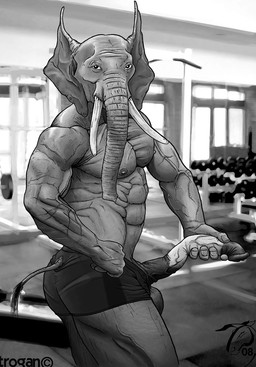 abs animal_genitalia animal_penis anthro balls biceps big_muscles big_penis black_eyes bottomwear clothed clothing dumbbell elephant_penis exercise flaccid flexing furgonomics genitals gym holding_penis huge_muscles long_penis looking_at_viewer male muscular muscular_anthro muscular_male nipples pecs penis pose presenting presenting_penis proboscis_(anatomy) seductive shorts solo tail tail_clothing thick_penis topless topless_anthro topless_male trunk_(anatomy) tusks vein weights workout trogan elephant elephantid mammal proboscidean monochrome pinup