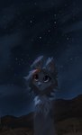 ears_up feral hair heterochromia looking_up night outside semi-anthro solo star whiskers reysi felid feline mammal 2024