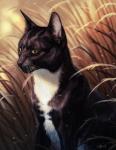 black_body black_fur black_nose day detailed_background feral fur outside solo whiskers white_body white_fur nukerooster domestic_cat felid feline felis mammal 2017 digital_media_(artwork)