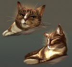 ambiguous_gender claws eyes_closed feral fur green_eyes inner_ear_fluff solo tuft whiskers rappenem real_world domestic_cat felid feline felis mammal digital_media_(artwork) digital_painting_(artwork) hi_res