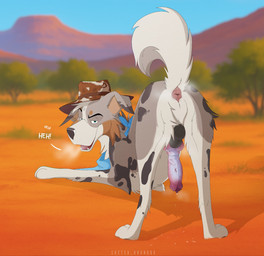animal_genitalia animal_penis anus balls blue_eyes butt canine_genitalia canine_penis clothing cowboy cowboy_hat darkened_balls darkened_genitalia erection feral genitals hat headgear headwear kerchief knot knotted_penis looking_at_viewer male musk musky_anus musky_balls musky_penis penis plant pose presenting presenting_anus presenting_penis puckered_anus solo toony tree wild_west sketch_houndog rikuroo australian_shepherd canid canine canis domestic_dog herding_dog mammal pastoral_dog sheepdog hi_res