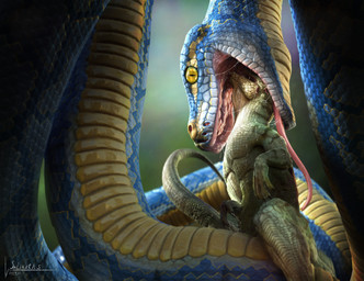 3d ambiguous_gender anthro digital_media_(artwork) duo feral hi_res lizard open_mouth photorealism realistic reptile salireths saliva saliva_string scales scalie slit_pupils snake soft_vore tongue vore yellow_belly
Rating: Questionable
Score: 27
User: Salireths
Date: December 02, 2014 3d ambiguous_gender anthro digital_media_(artwork) duo feral hi_res lizard open_mouth photorealism realistic reptile salireths saliva saliva_string scales scalie slit_pupils snake soft_vore tongue vore yellow_belly
Rating: Questionable
Score: 27
User: Salireths
Date: December 02, 2014