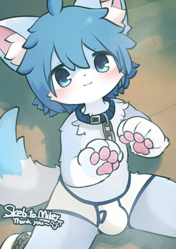 4_fingers asian_clothing blue_body blue_ears blue_eyes blue_hair blush bound briefs bulge chain chain_leash chained chibi clothed clothing collar east_asian_clothing fingers footwear hair happy inner_ear_fluff japanese_clothing kemono leash looking_at_viewer male pawpads paws shy smile socks solo tuft underwear underwear_only young tabiari mikey_(mikey_fox) canid canine fox mammal absurd_res hi_res