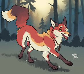 animal_genitalia animal_penis canine_genitalia canine_penis erection eye_scar facial_scar feral fur genitals green_eyes half-erect jewelry lipsticking male necklace paws penis quadruped red_body red_fur scar sheath solo hakudoge rooke canid canine fox mammal red_fox true_fox hi_res