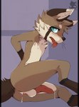 2021 anthro balls blue_eyes blush bodily_fluids breath fur genital_fluids genitals hi_res luxuria male mammal panting penis pinup pose precum procyonid purple_background raccoon shy simple_background solo tongue tongue_out watermark whiskers