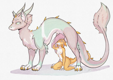 all_fours anthro anthro_on_feral bestiality blue_body breasts claws duo female feral fur genitals grey_body holding_penis horn kneeling male male/female orange_body orange_eyes penis penis_on_face scales small_breasts surprised tail tail_coil tapering_penis tongue tongue_out tuft white_body yellow_eyes arcticos mythology arcticos_(character) dragon furred_dragon furred_kobold furred_scalie kobold mythological_creature mythological_scalie scalie absurd_res hi_res