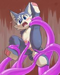 4_toes anthro anus bent_legs blue_body blue_eyes blue_fur blush bodily_fluids embarrassed erection fangs feet fist forced foreskin fur genitals hands_behind_back humanoid_genitalia humanoid_penis male markings moon_(marking) navel nude_male open_mouth pawpads penis rape restrained restrained_arms restrained_by_tentacles restrained_legs restrained_tail sex solo sweat tail tan_body tan_fur teeth tentacle_rape tentacle_sex tentaclejob tentacles toes tongue young young_anthro young_male ajin wolf_hero_(character) canid canine canis mammal wolf 2025 4:5 english_description hi_res