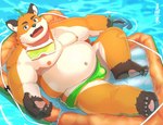 anthro belly big_belly black_nose bulge clothing detailed_background feet humanoid_hands kemono male moobs nipples orange_body overweight overweight_male solo swimwear water natsuhakoura tamacolle iyo_(tamacolle) canid canine fox mammal 2024