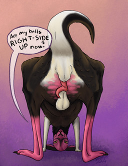 abstract_background anatomically_correct anatomically_correct_genitalia anatomically_correct_penis animal_genitalia animal_penis balls balls_above_penis black_body black_fur dialogue feral fur genitals gradient_background head_on_ground looking_through looking_through_legs male marsupial_penis penis pink_body pink_fur pink_penis realistic_feral simple_background solo speech_bubble standing tapering_penis text regsmutt kangaroo macropod mammal marsupial red_kangaroo 2026 digital_drawing_(artwork) digital_media_(artwork) english_text hi_res