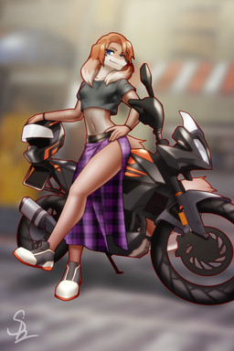 anthro bottomwear clothed clothing female fishnet_clothing motorcycle motorcycle_helmet shirt skirt solo topwear vehicle nariikhan canid canine canis domestic_dog mammal hi_res