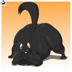 anthro ass_up butt female hyper jack-o'_pose overweight pose solo chrisandcompany sasha_(chrisandcompany) domestic_cat felid feline felis mammal 1:1 absurd_res hi_res