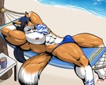 anthro beach bulge clothing fur hair long_hair male muscular muscular_anthro muscular_male orange_body orange_fur overly_muscular seaside solo speedo swimwear masterelrest alty canid canine fox mammal red_fox true_fox 5:4