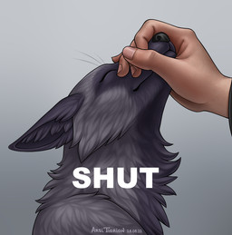 black_body black_ears black_fur black_nose duo eyes_closed fingernails fingers fur grey_body grey_fur multicolored_body multicolored_fur nails snout_grab solo_focus text two_tone_body two_tone_fur white_text arsi_tigrion shut_(meme) canid canine fox human mammal red_fox silver_fox true_fox 2022 dated english_text icon meme reaction_image signature