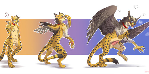 animal_genitalia animal_penis anthro_to_feral backsack balls base_one_layout basic_sequence beak blush collar collar_only digitigrade erection feathered_wings feathers feet feline_genitalia feline_penis fully_sheathed genitals growth linear_sequence male mid_transformation nude one_row_layout penile_spines penis sheath solo species_transformation standing surprised talons text three_frame_image three_frame_sequence toes tongue tongue_out transformation transformation_sequence wing_growth wings strawberrytfs mythology sheetah avian cheetah felid feline gryphon hybrid mammal mythological_avian mythological_creature 2020 artist_name hi_res sequence shaded