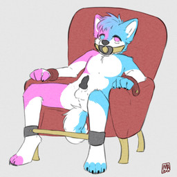 animal_genitalia animal_penis anthro arms_tied balls bdsm bondage bound canine_genitalia canine_penis chair chair_bondage erection fur furniture gag gagged genitals hair heterochromia legs_tied looking_at_viewer male multicolored_hair nude object_in_mouth on_chair pacifier pacifier_gag pacifier_in_mouth penis restraints simple_background sitting sitting_on_chair solo submissive white_body white_fur young young_anthro maxwtv canid canine canis domestic_dog husky mammal nordic_sled_dog spitz 1:1 hi_res